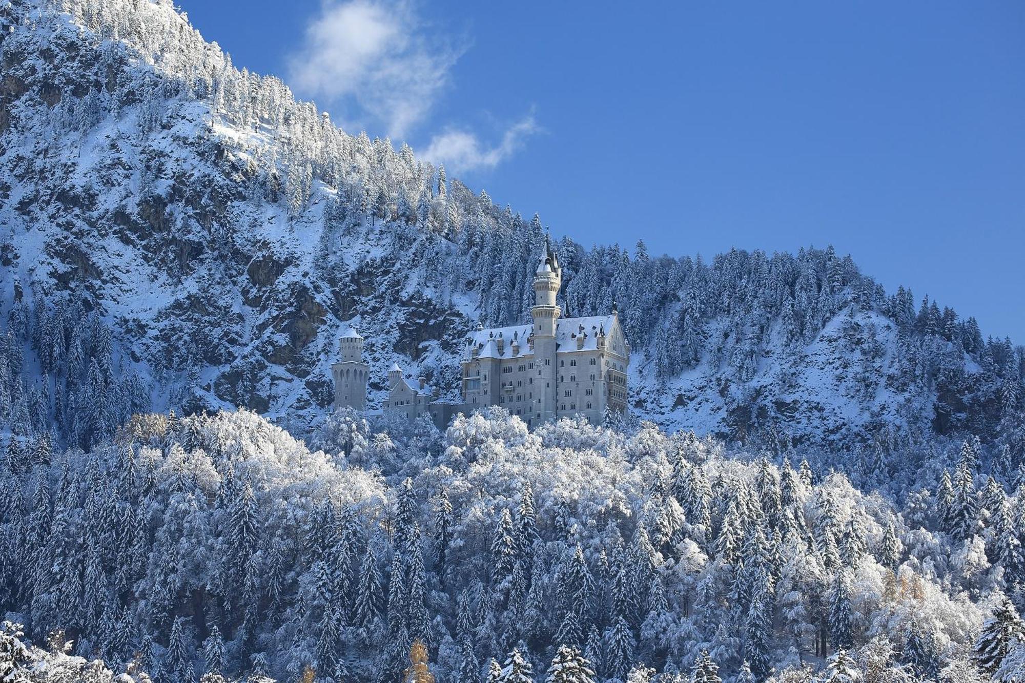 Maximilian Appartements Schwangau Extérieur photo